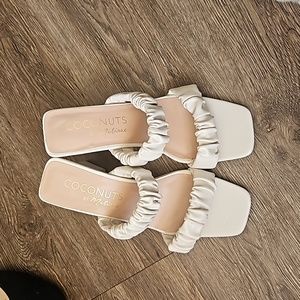 Coconuts size 8M